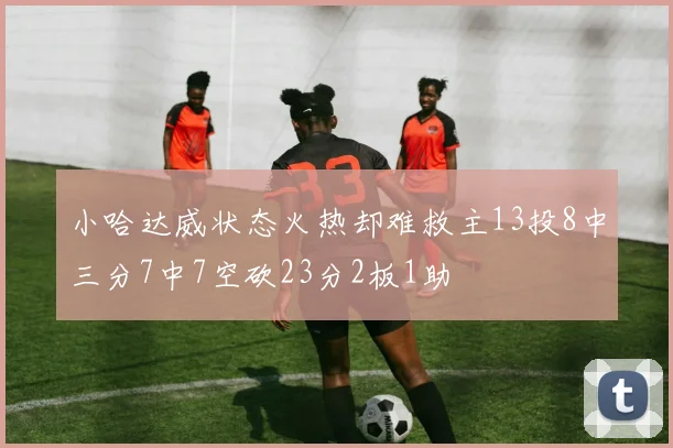 小哈达威状态火热却难救主13投8中三分7中7空砍23分2板1助
